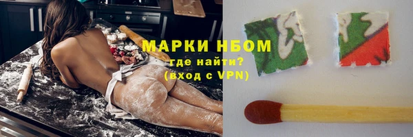 PSILOCYBIN Алзамай