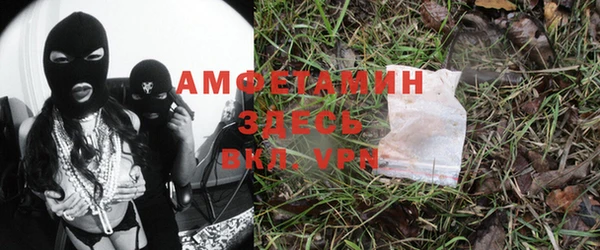 гашик Алексеевка