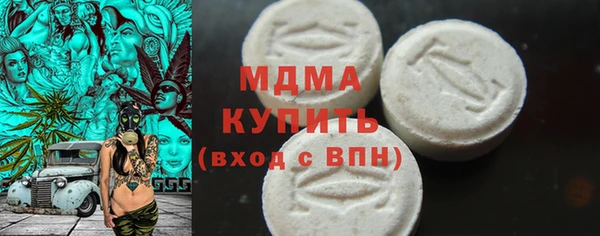 PSILOCYBIN Алзамай
