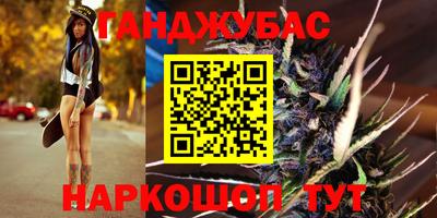 стаф Шебекино