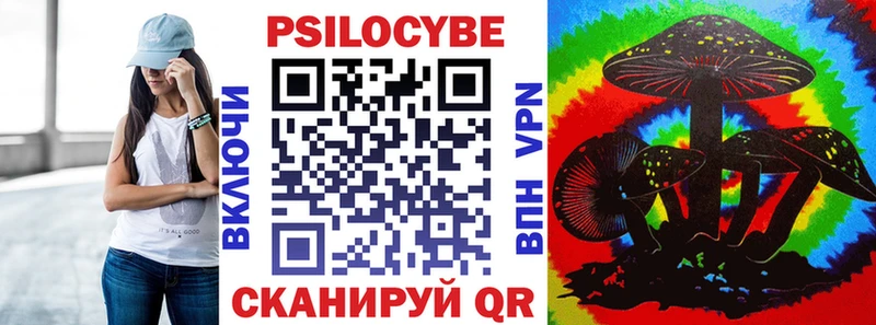 Псилоцибиновые грибы Psilocybe  закладки  Протвино 