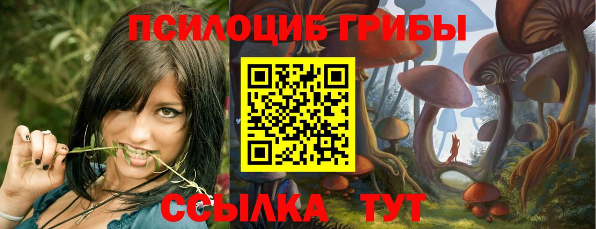 Псилоцибиновые грибы прущие грибы  Вход с VPN  Протвино 